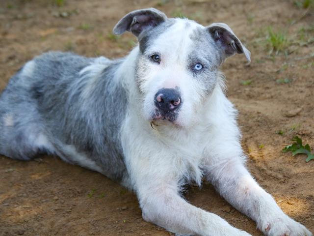 SAWYER