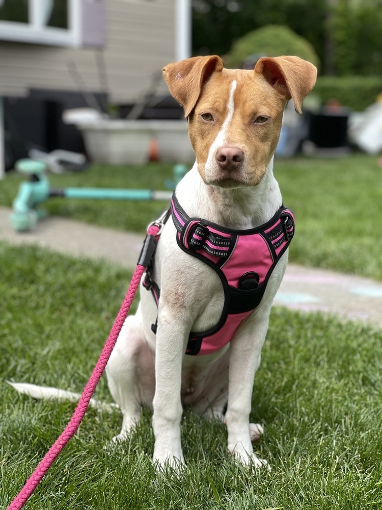 Fiona (Gaither St. Litter)