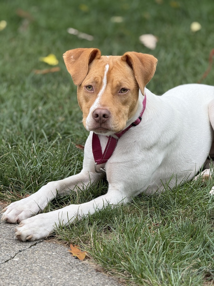 Fiona (Gaither St. Litter)