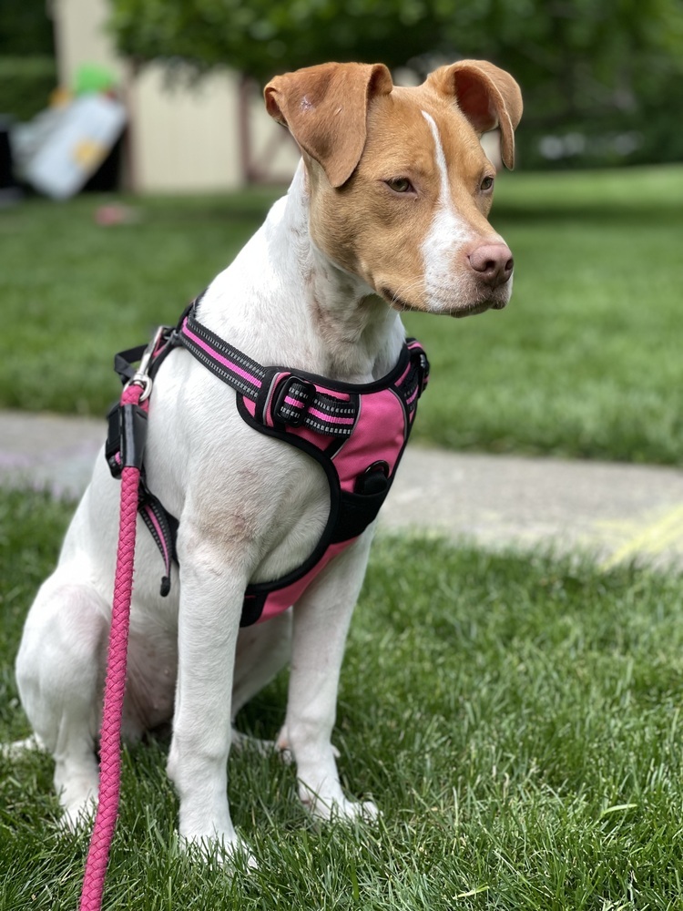 Fiona (Gaither St. Litter)