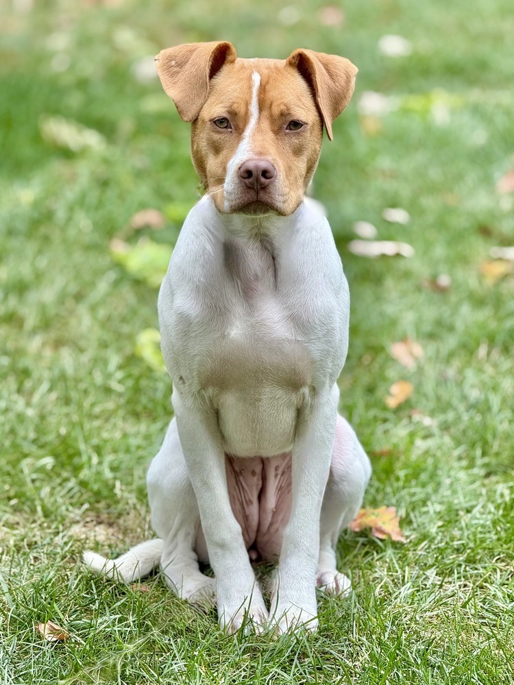 Fiona (Gaither St. Litter)