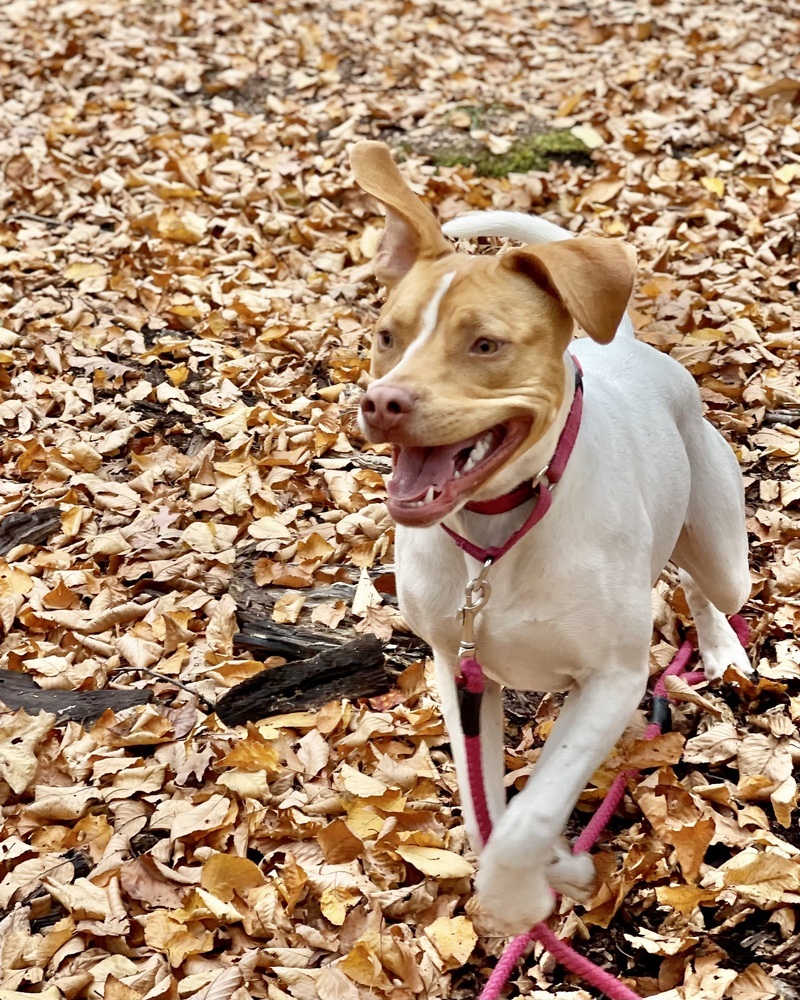 Fiona (Gaither St. Litter)