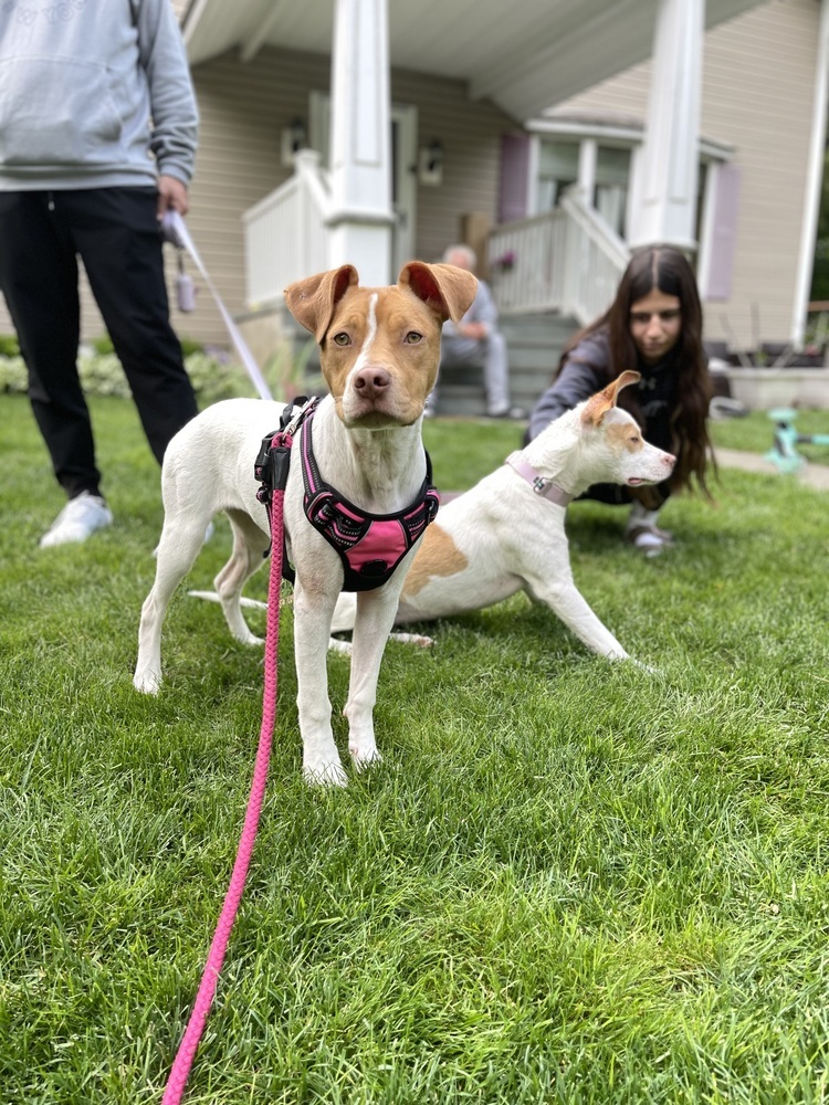 Fiona (Gaither St. Litter)
