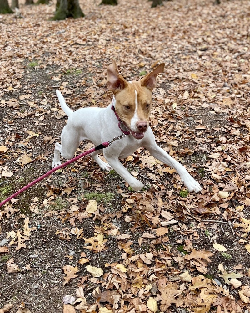 Fiona (Gaither St. Litter)