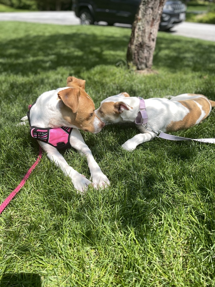 Fiona (Gaither St. Litter)