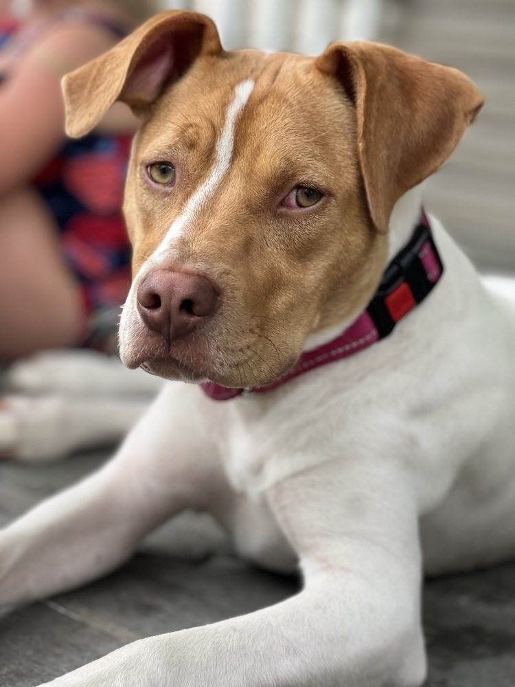 Fiona (Gaither St. Litter)