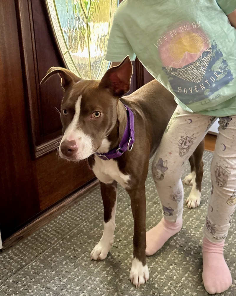 Roxie (Gaither St. Litter)