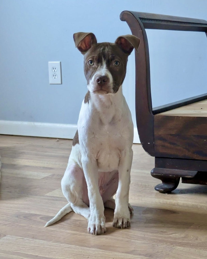 Finn (Gaither St. Litter)