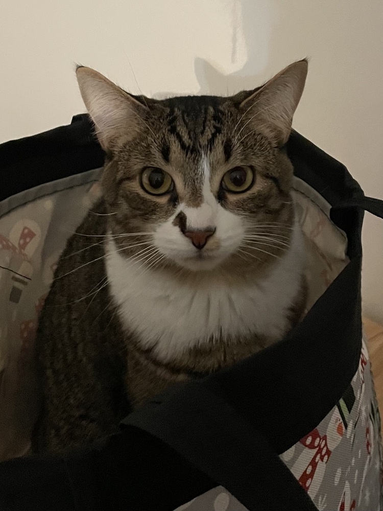 Max (was Pablo)