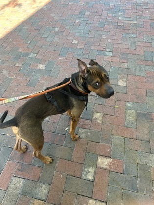 Max