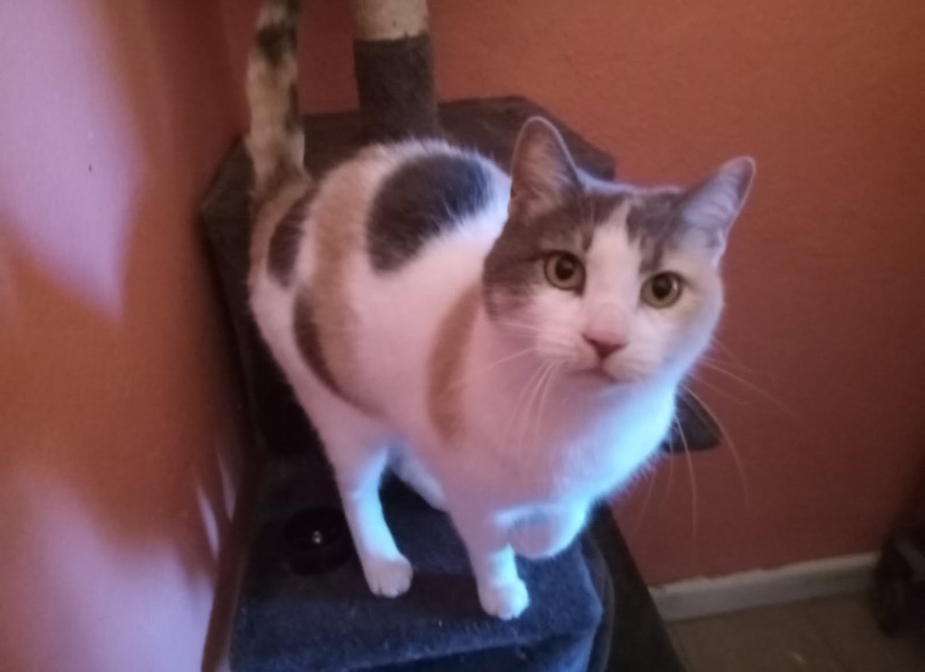 Chloe