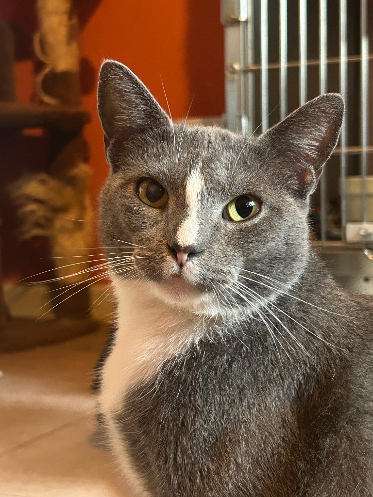 BONNIE