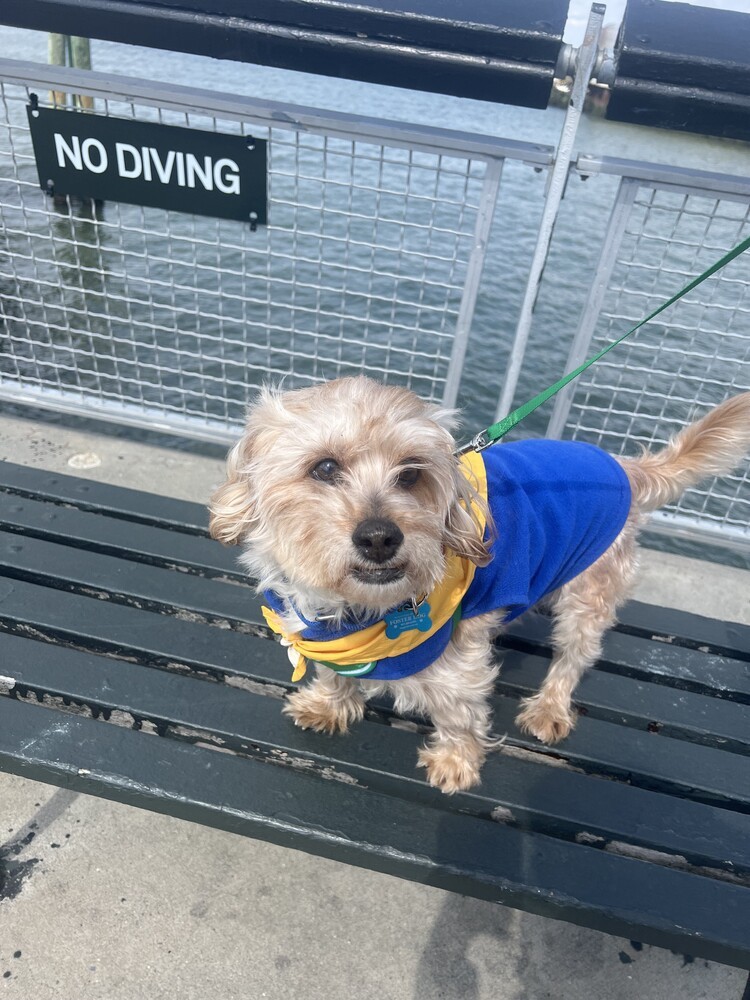 Baxter