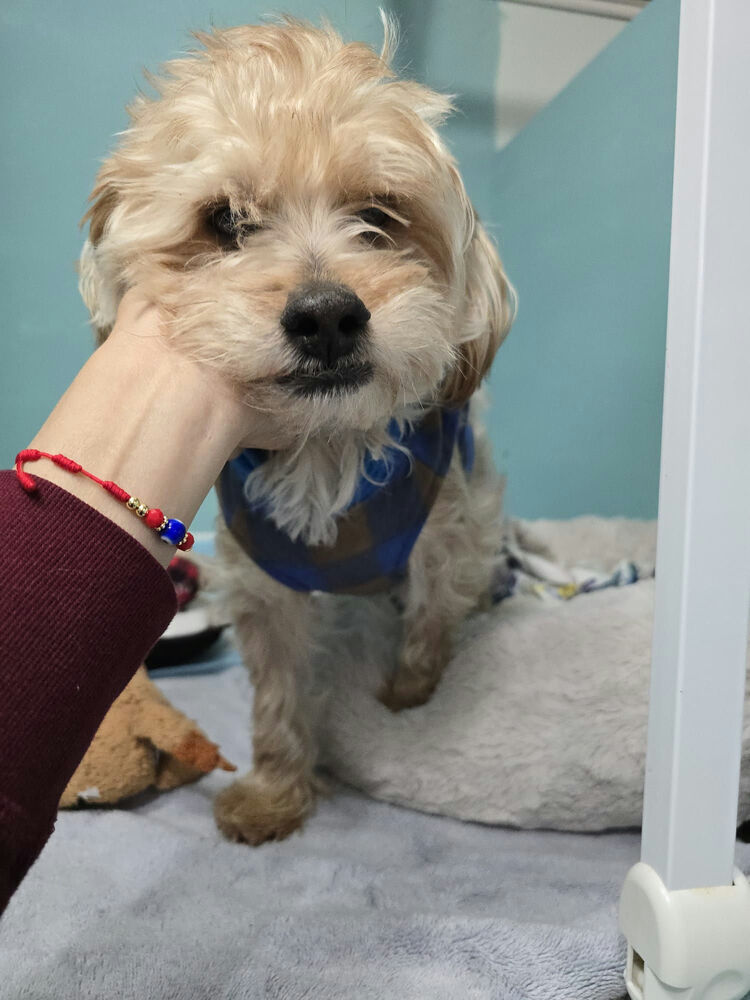 Baxter