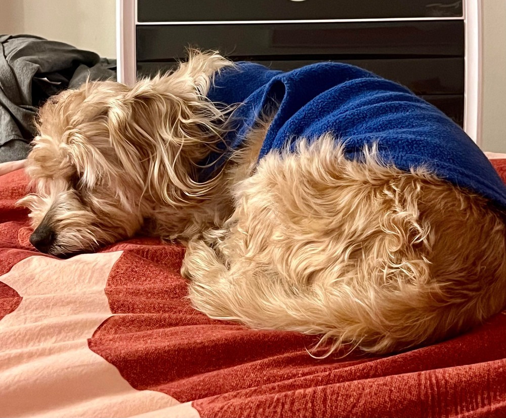 Baxter