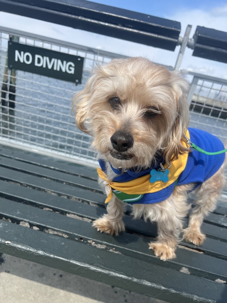 Baxter