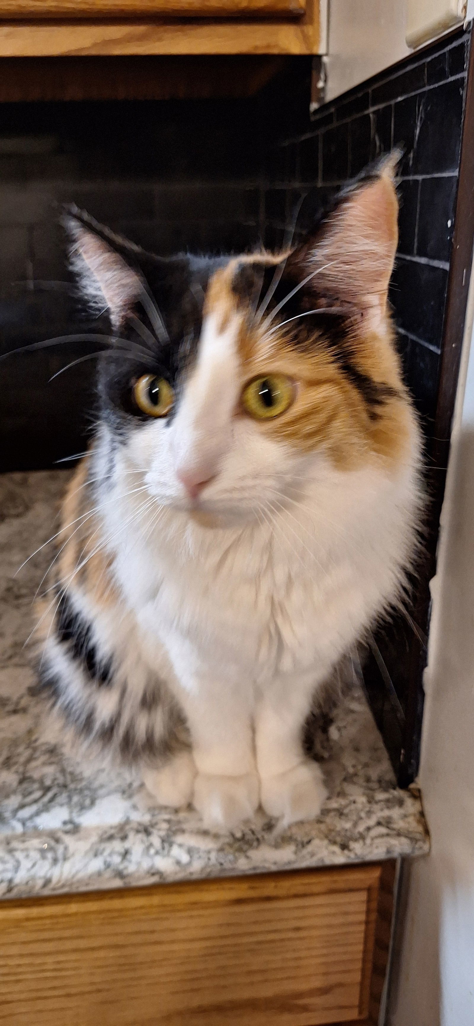 PRECIOUS
