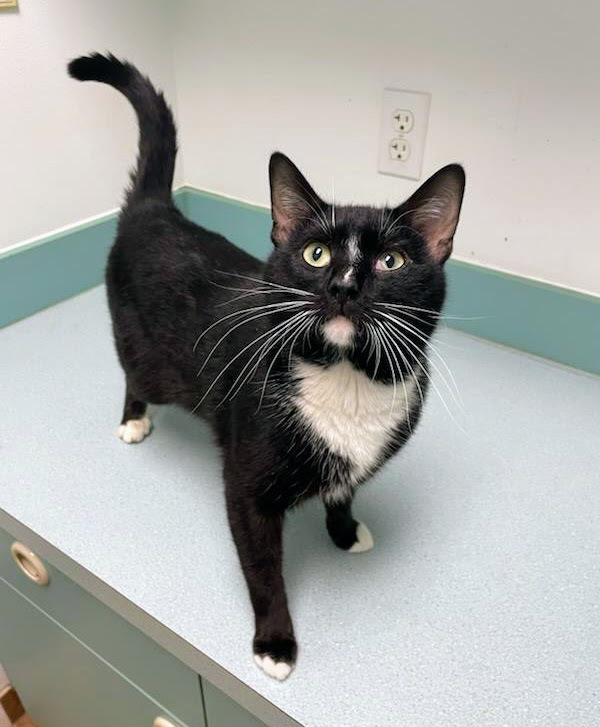 Tux
