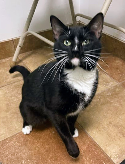 Tux