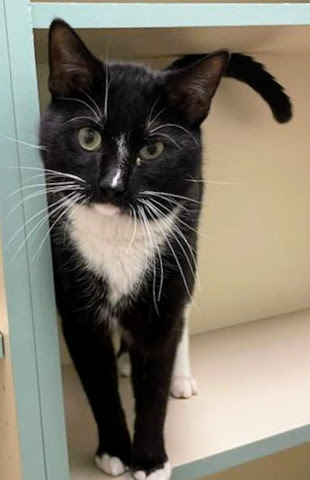 Tux