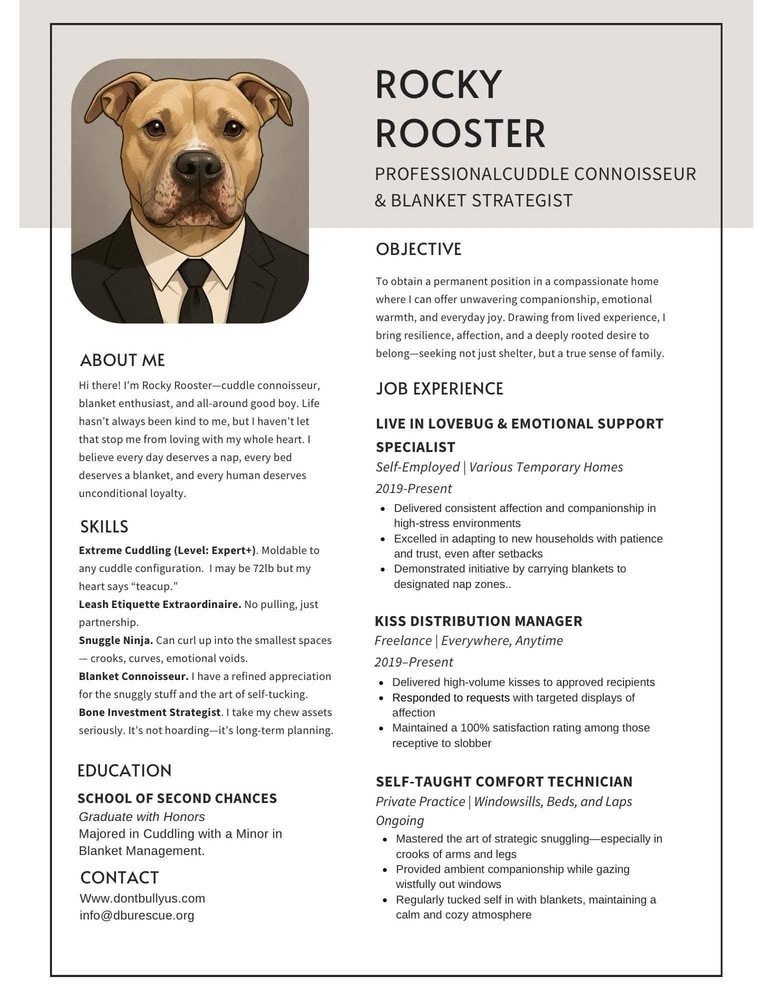 Rocky Rooster