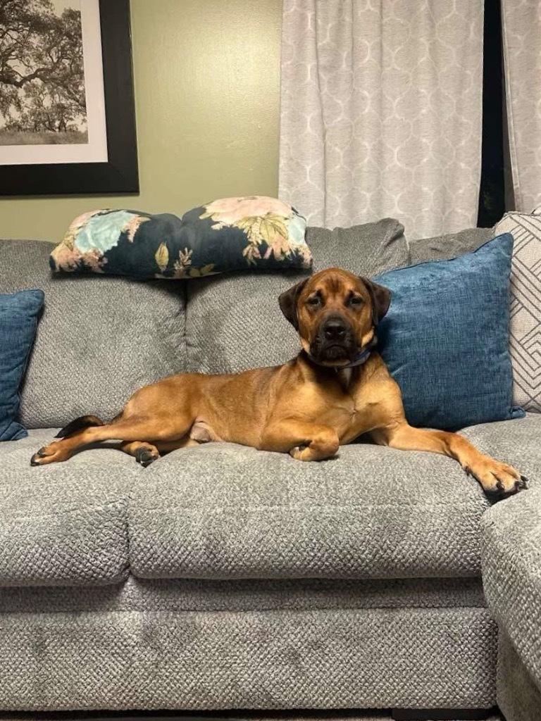 Odin