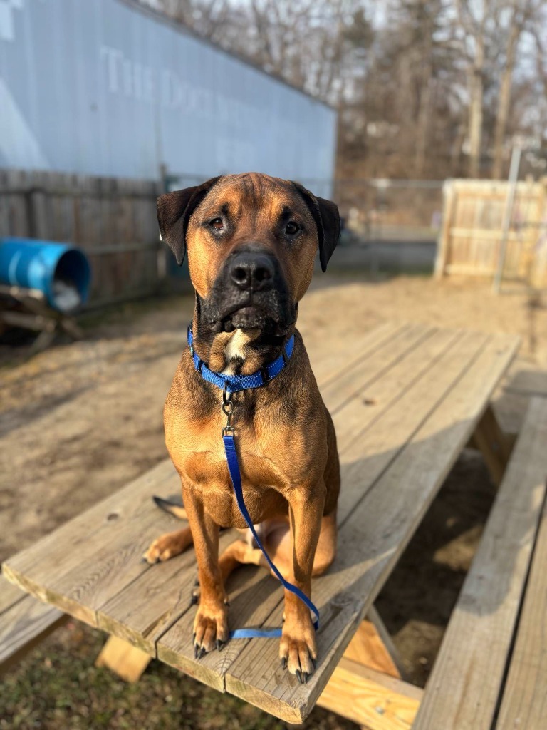 Odin