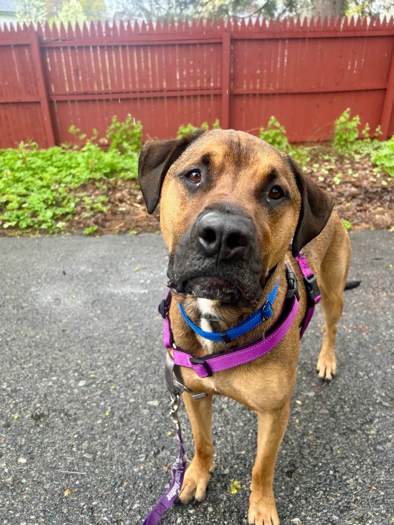 Odin