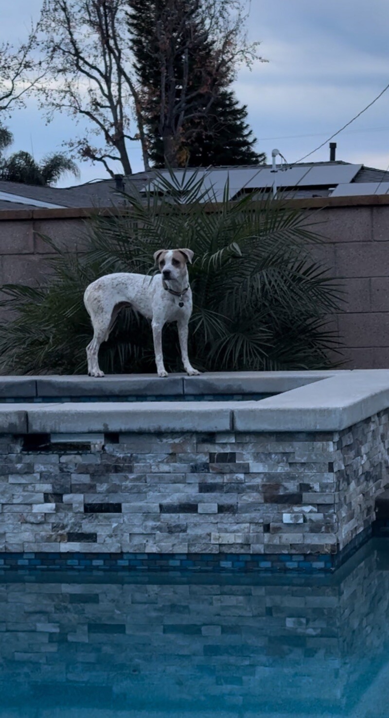 Josie