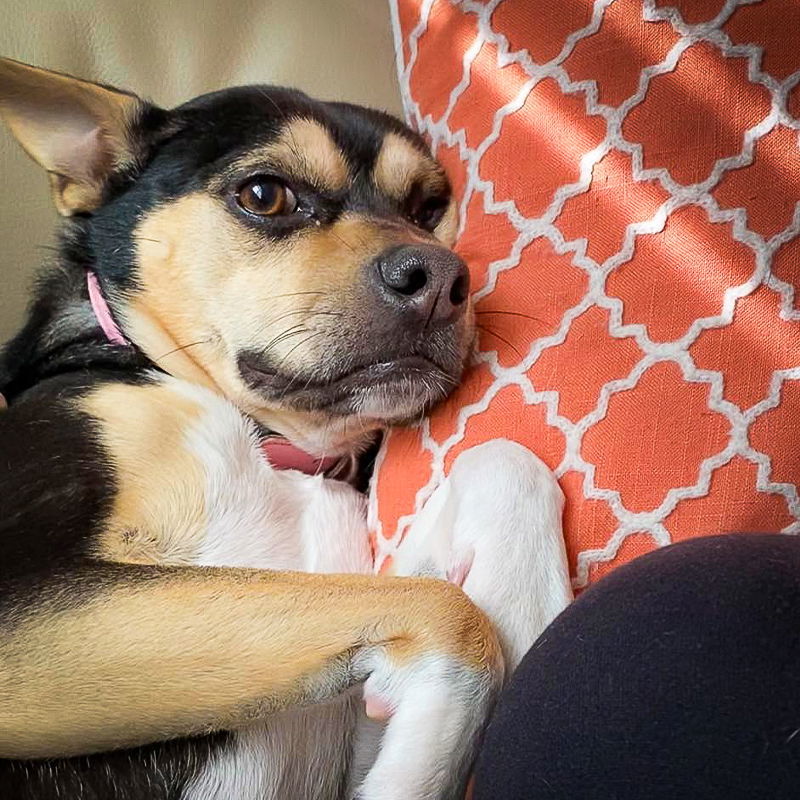 Suzy I (New Digs)