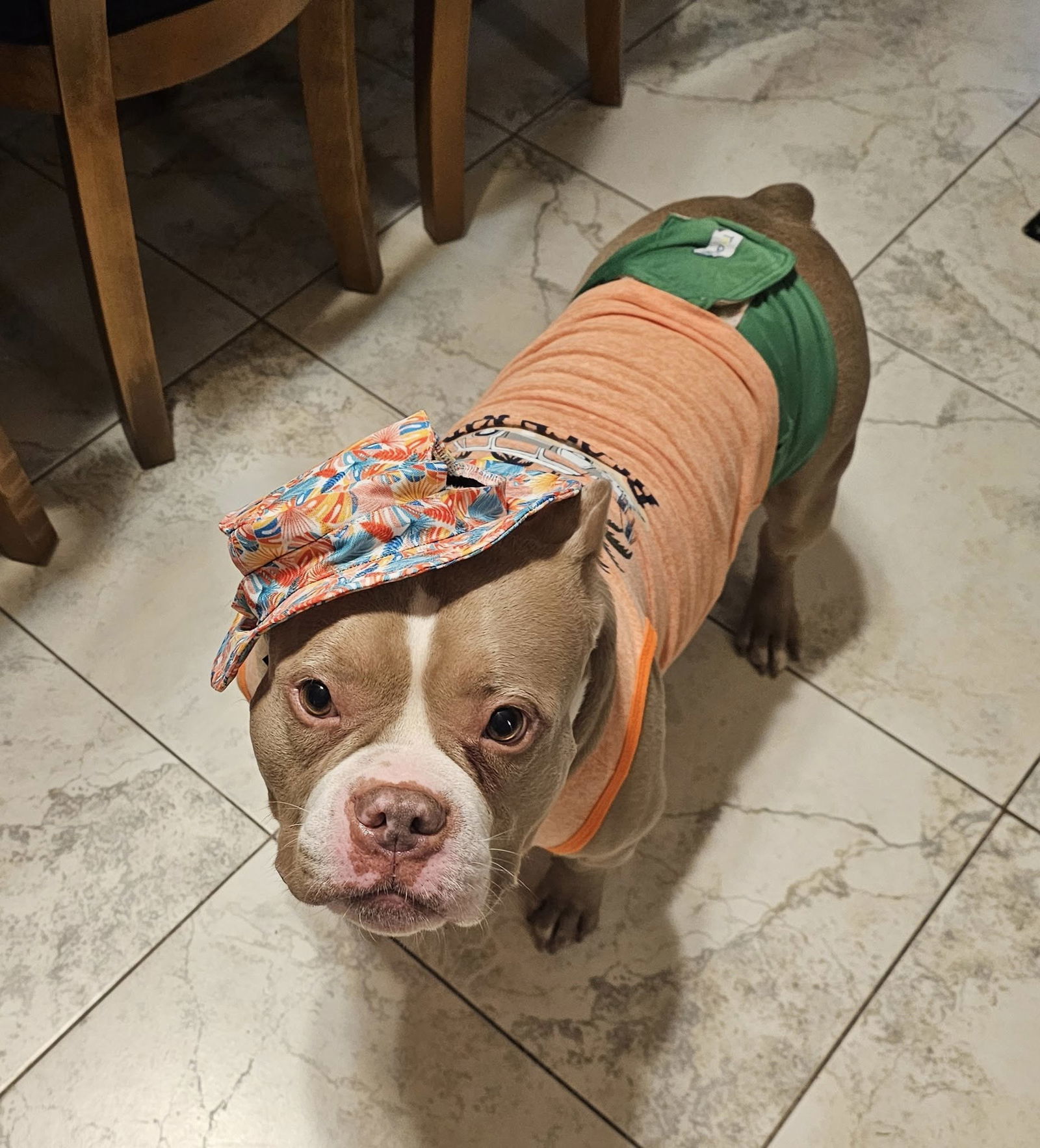 Lil Chief