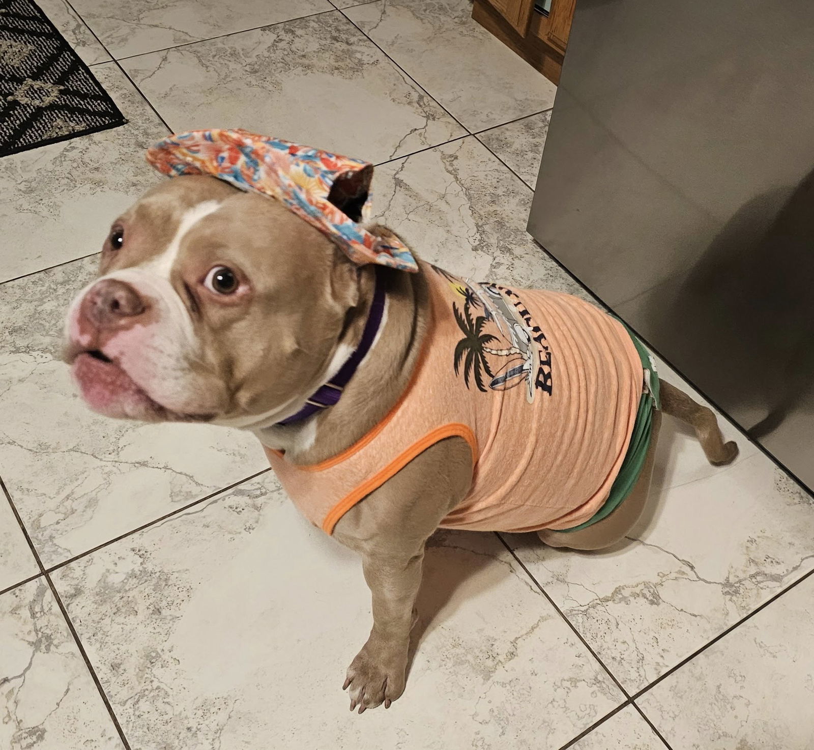 Lil Chief