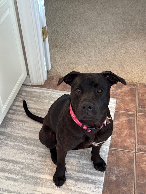 Lucy