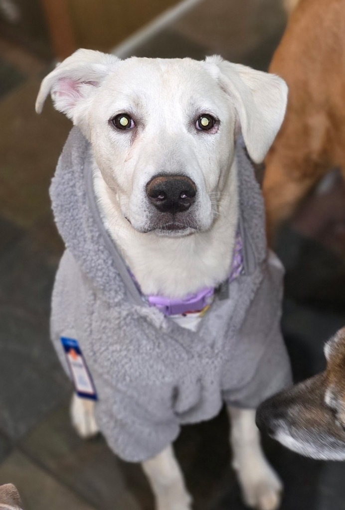 Polar