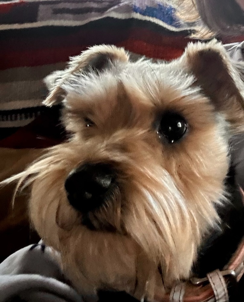 Isabella (Izzy)