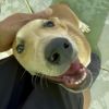 Gunther photo 6