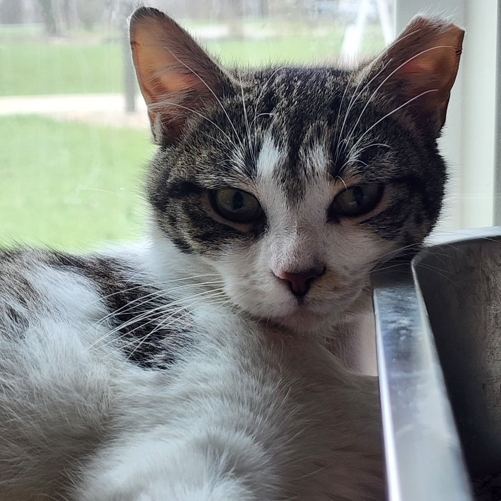 Minnie