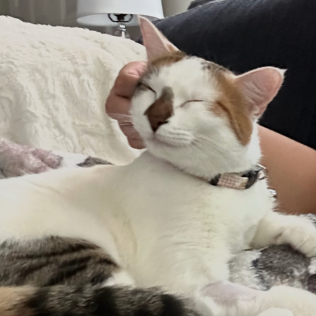Peaches