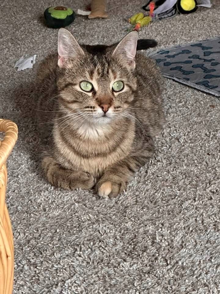 Roxie