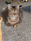 Roxie photo 1