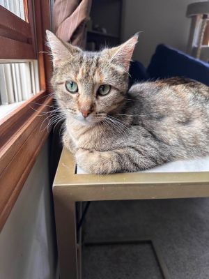 Roxie, Young Female unknown