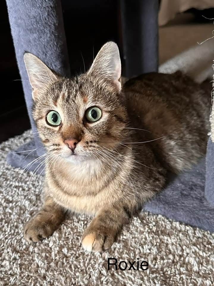 Roxie