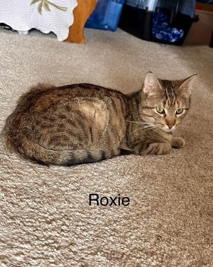 Roxie