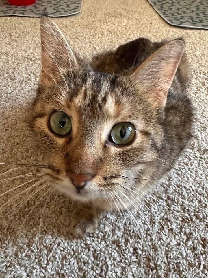 Roxie