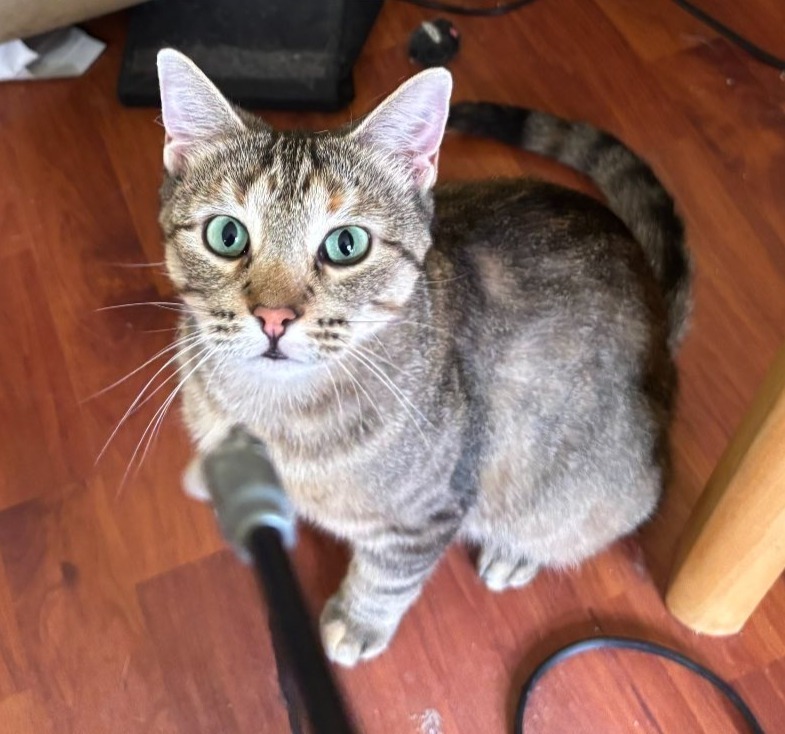 Roxie