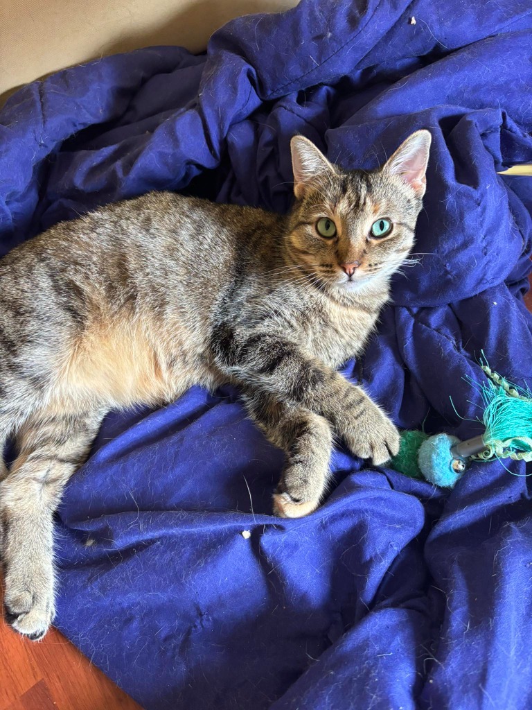 Roxie