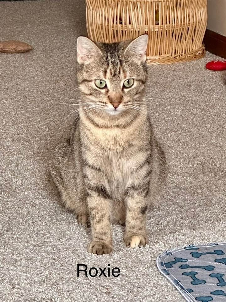 Roxie