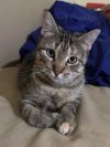 Roxie photo 6