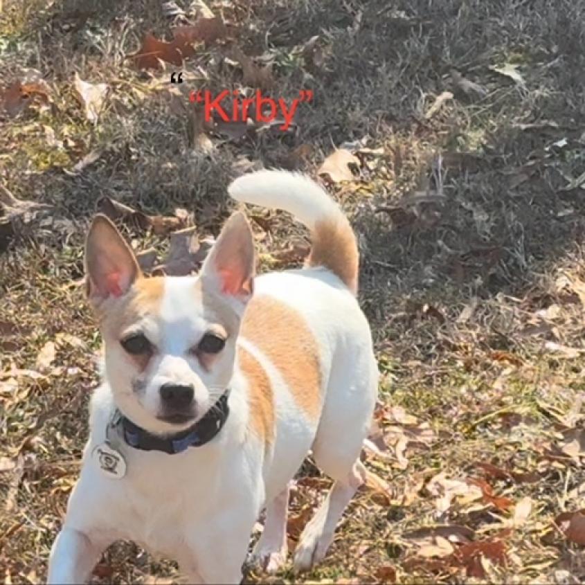 Kirby