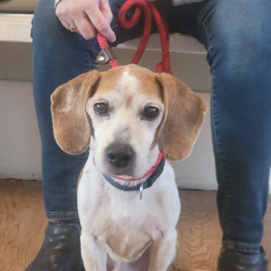 Remington **Off-Site Foster Home**